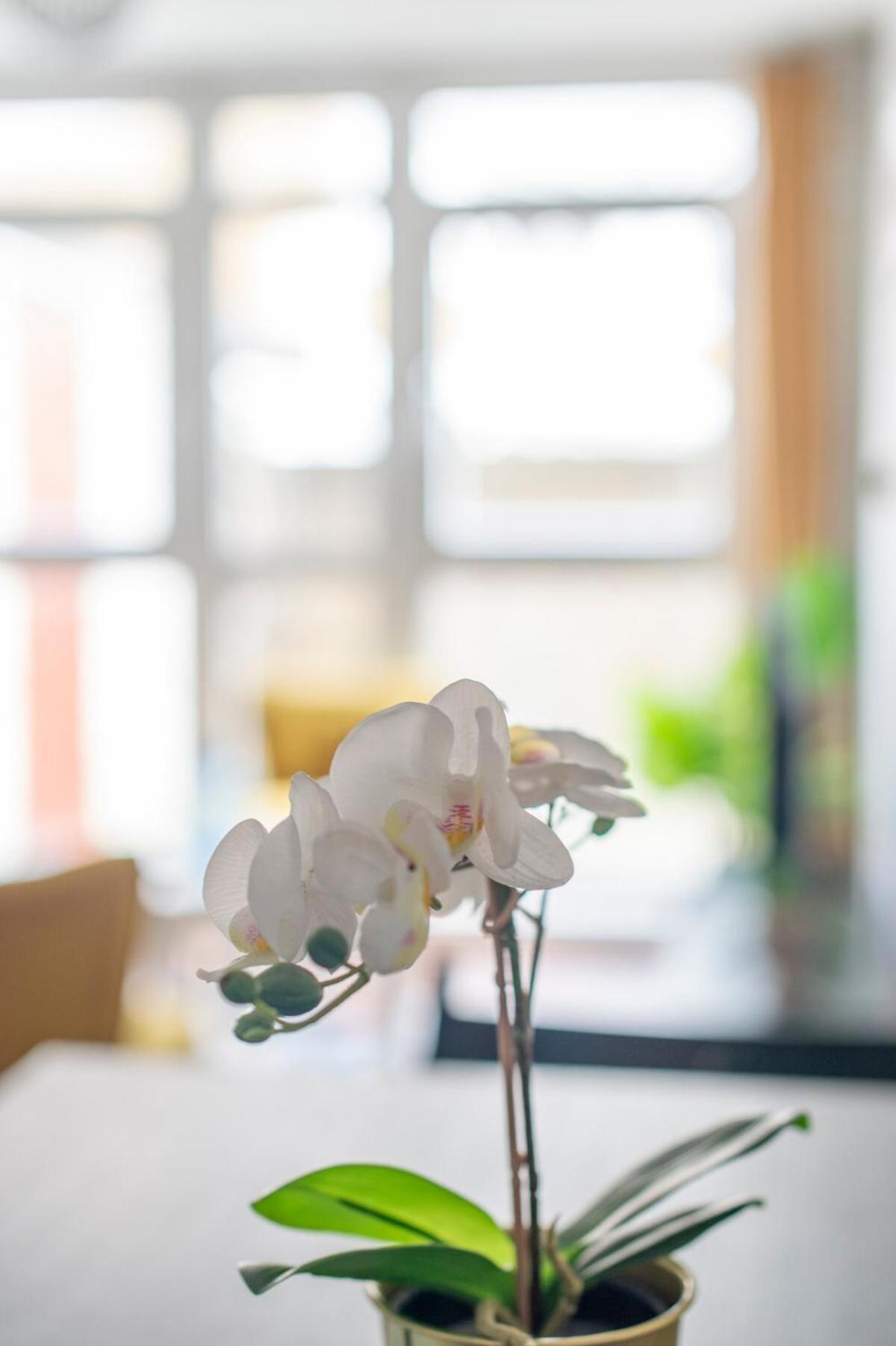Lovely 2-Bed 20 Mins To Central 伦敦 外观 照片